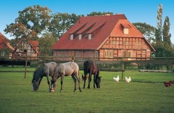 Horses grazing near a traditional farmhouse