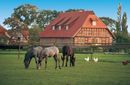 Vorschaubild Horses grazing near a traditional farmhouse