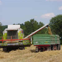 Combine harvester